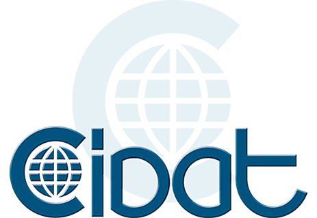 РВД Cidat